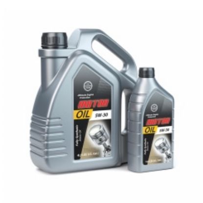 Picture of Motor Oil Level 5
