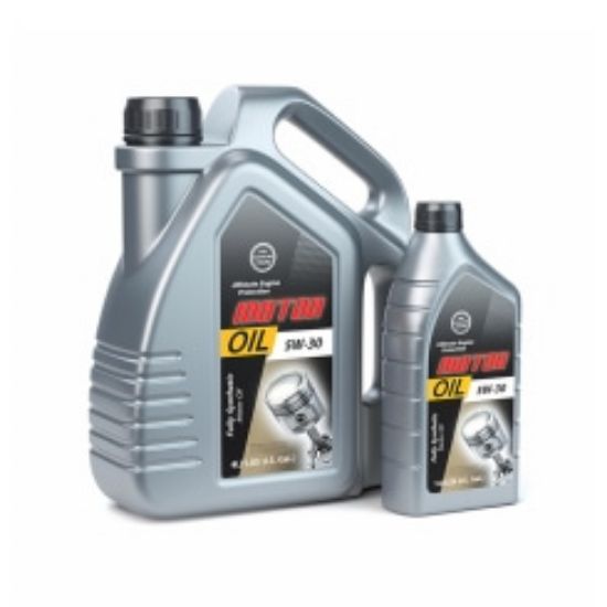 Picture of Motor Oil Level 5